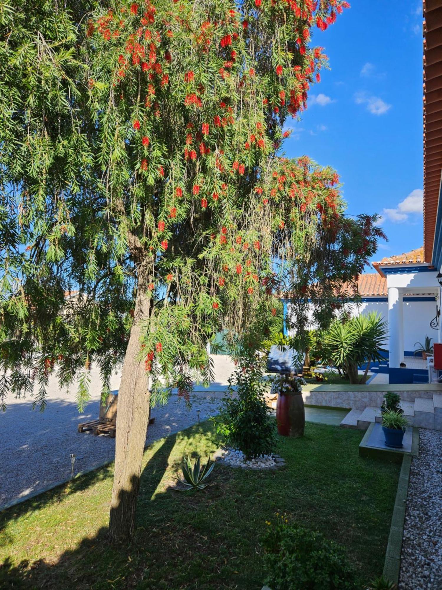 Casa Zanzibar Hotel Landeira Kültér fotó